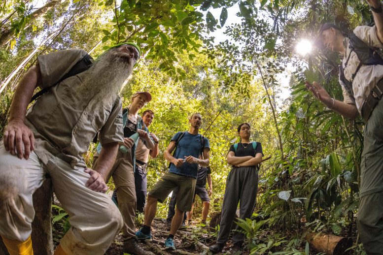 Citizen Scientists, Students, and Researchers in the Rainforest - “Tiny, Beautiful, And Completely Unknown Animals” Discovered In The Ulu Temburong Forest