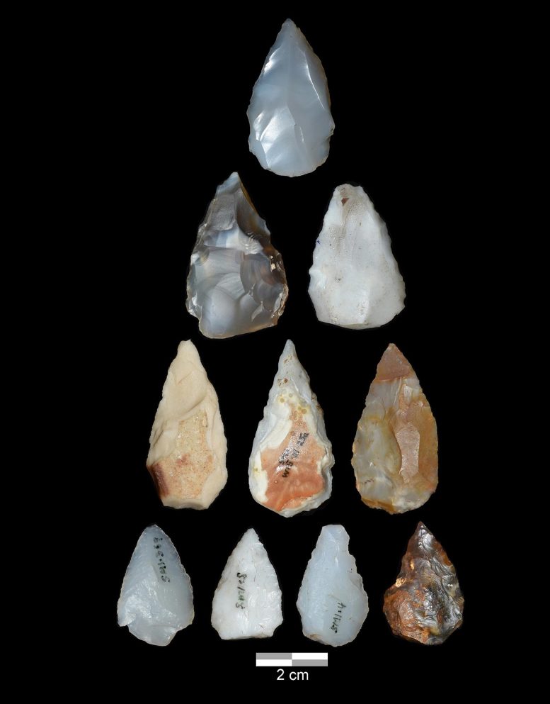 Projectile Points From Middle Stone Age Archaeological Site Shinfa-Metema 1 - Survival Through Ashes: How Early Humans Outwitted A Supereruption