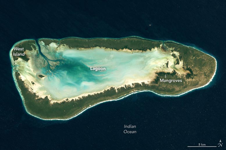 Aldabra Atoll 2022 Annotated - Aldabra Atoll: A Living Archive Of Evolution