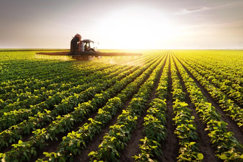 Soybean Field Tractor Spraying Pesticides Farm - The Future Of Farming – Chemists Discover Safe Pesticide For Organic Agriculture