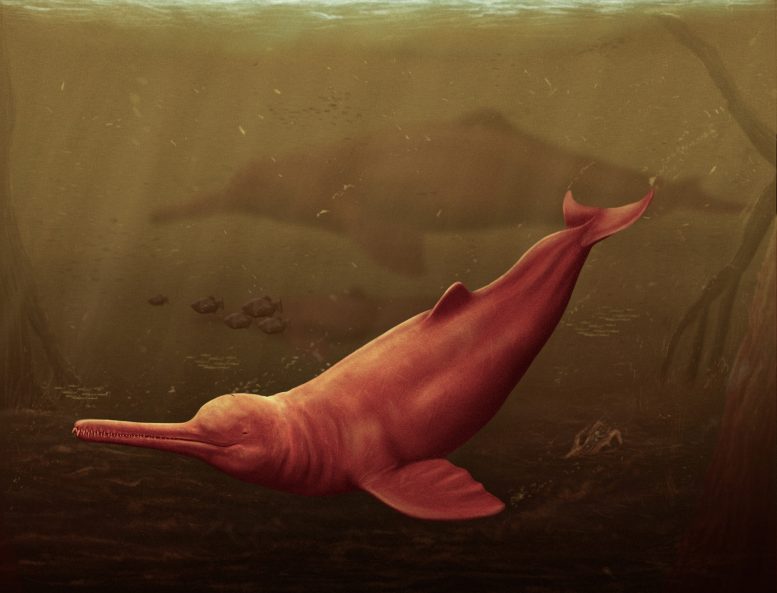 Pebanista yacurana - 16 Million Years Old: Giant Dolphin Discovered In The Amazon Rainforest