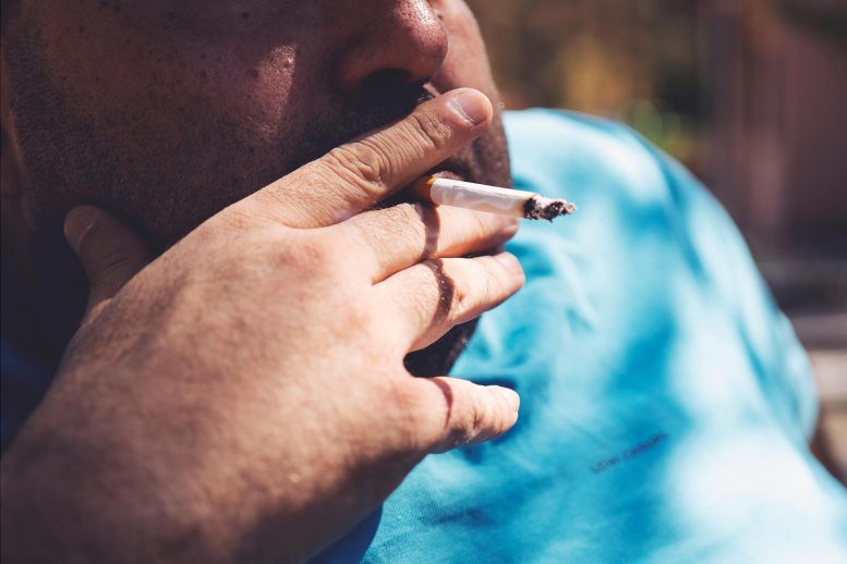 Plus Size Person Smoking - The Thin Lie: How Smoking Actually Increases Belly Fat