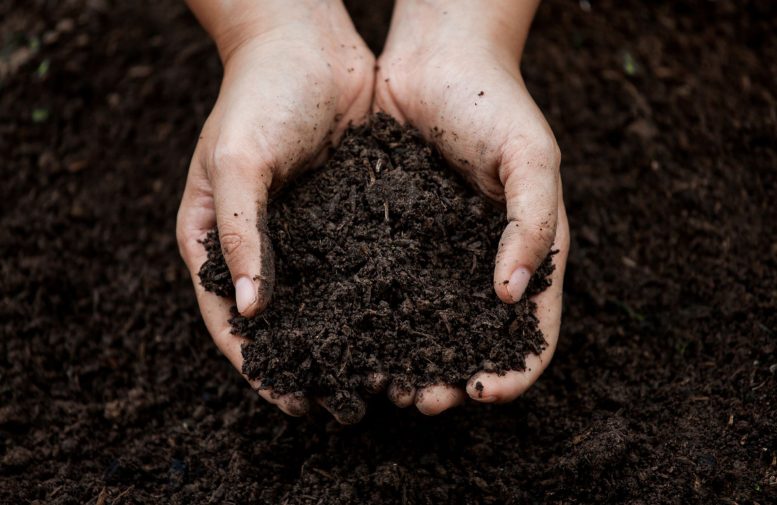 Hand Holding Soil - Challenging Long-Standing Climate Assumptions: Earth Is Getting Hotter, But Soil Is Getting Wetter