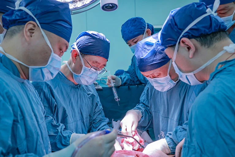 First Successful Pig Liver Transplant In Human Marks New Era In Medicine'an China.