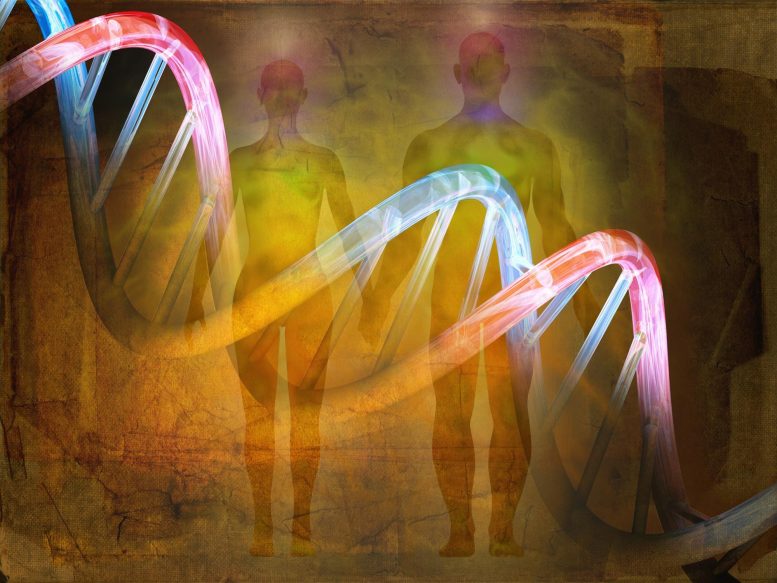 Human DNA Evolution History Concept - Becoming Human: What Ancient DNA Tells Us About Who We Are
