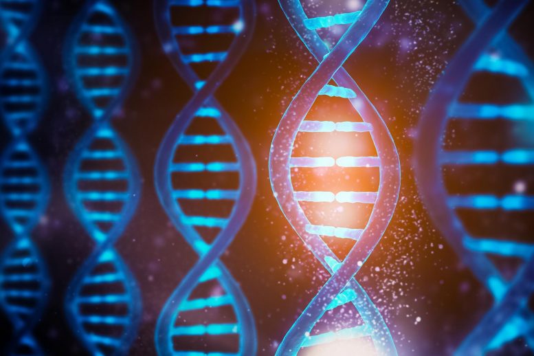 DNA Functions Concept - Unlocking The Secret Of Aging: Scientists Uncover Surprising Role Of Long Genes