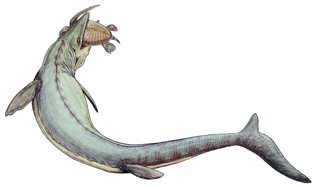 Mosasaurus: “Meuse Lizard”'s recreation of a hunting Mosasaurus