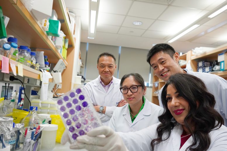Ann Marie Chacko, Alfred Sun, Carla Bianca Luena Victorio and Ooi Eng Eong - The Future Of Cancer Treatment? New Approach Uses The Zika Virus To Destroy Brain Cancer Cells