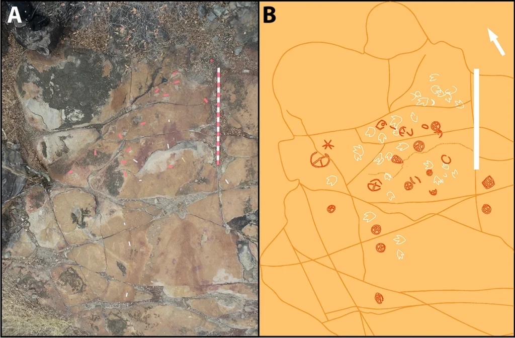 fossil tracks and petroglyphs - Prehistoric Rock Art And Dinosaur Tracks Found Only Inches Apart