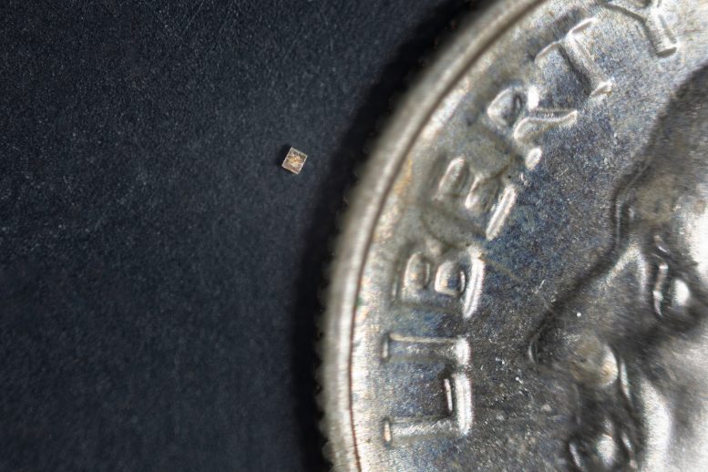 Tiny Sensor Next to Coin - Revolutionizing Wireless Communication: How Tiny Chips Could Transform Medical Technology