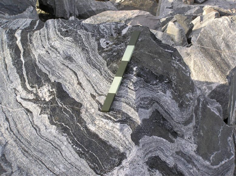 Tonalite, Trondhjemite and Granodiorite - Missing Link Uncovered – A New Origin Story Of How The Continents Developed