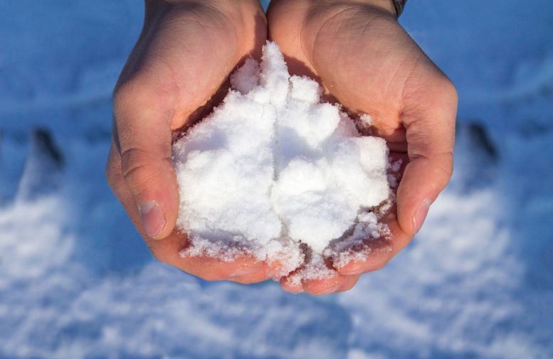 Holding Snow Hands - Long-Standing Mystery Solved – Researchers Uncover Protein Responsible For Cold Sensation