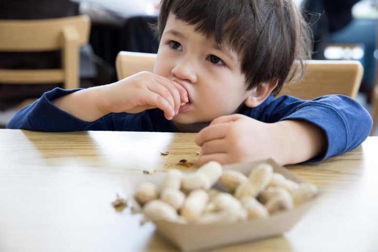 Food Allergies Child Eating Peanuts - Stanford Study: Breakthrough Treatment Protects Kids From Deadly Food Allergies