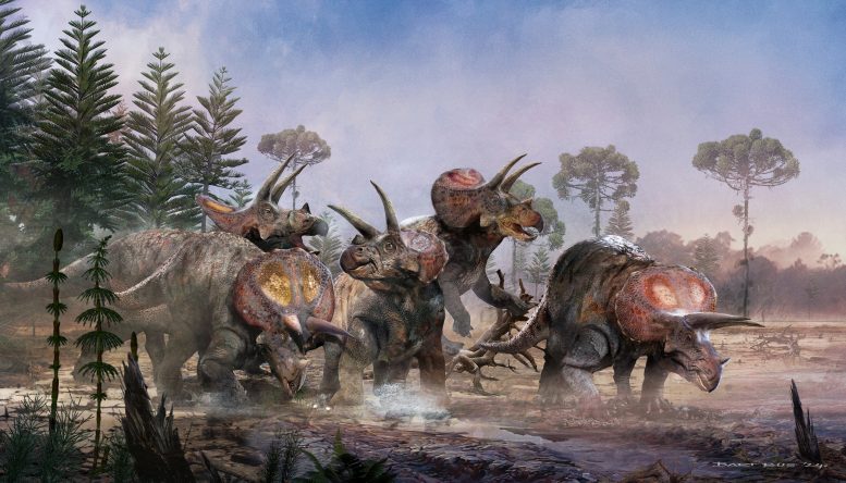 A Group of Triceratops - Spielberg Was Right: New Research Reveals That Real Triceratops Herds Echo Jurassic Park