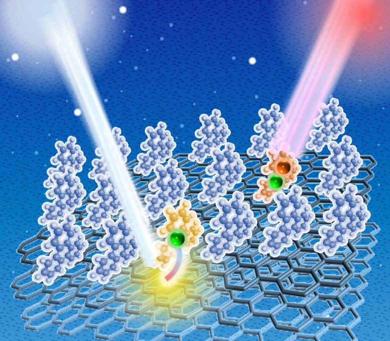 Triphenylene Molecules Adsorbed on an Upright Configuration on a Graphite Substrate - Lightweight, Flexible, And Efficient: Unlocking The Secrets Of Electron Behavior In Organic Devices