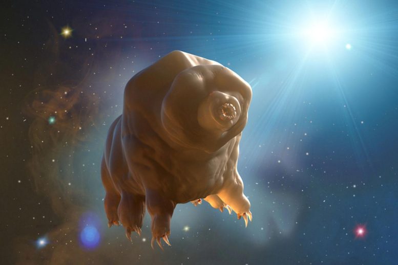 Tardigrade in Space - Unlocking The Secrets Of Immortality: Tardigrade Proteins Slow Aging In Human Cells