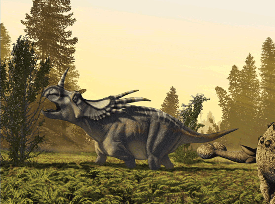 Styracosaurus: “Spiked Lizard”
