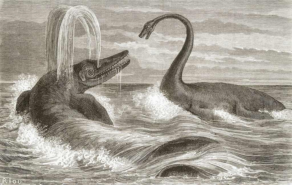 Early interpretation of Ichthyosaurus and Plesiosaurus - Ichthyosaurus: “Fish Lizard”