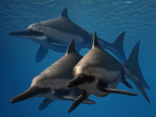 Ichthyosaurus: “Fish Lizard”'s depiction of an Ichthyosaurus trio
