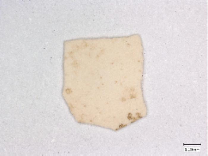 An eggshell fragment from the site of Bash Tepa, representing one of the earliest pieces of evidence for chickens on the Silk Road - Why Did The Chicken Cross The (Silk) Road? Scientists Find First Evidence Of Chickens Bred For Eggs