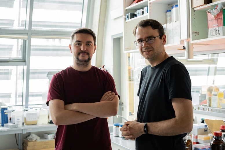 Jakub Copko and Tomáš Slanina - Molecular Memory Breakthrough: Entering A New Era Of Data Storage