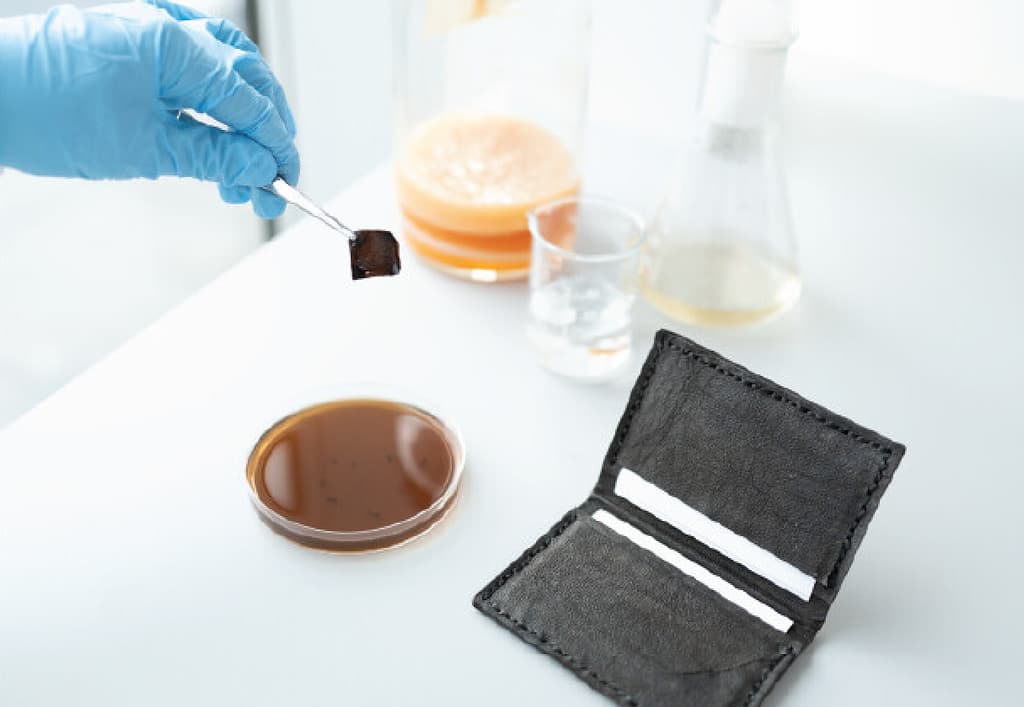 Researchers Grow Futuristic Bacteria-based Leather That Dyes Itself