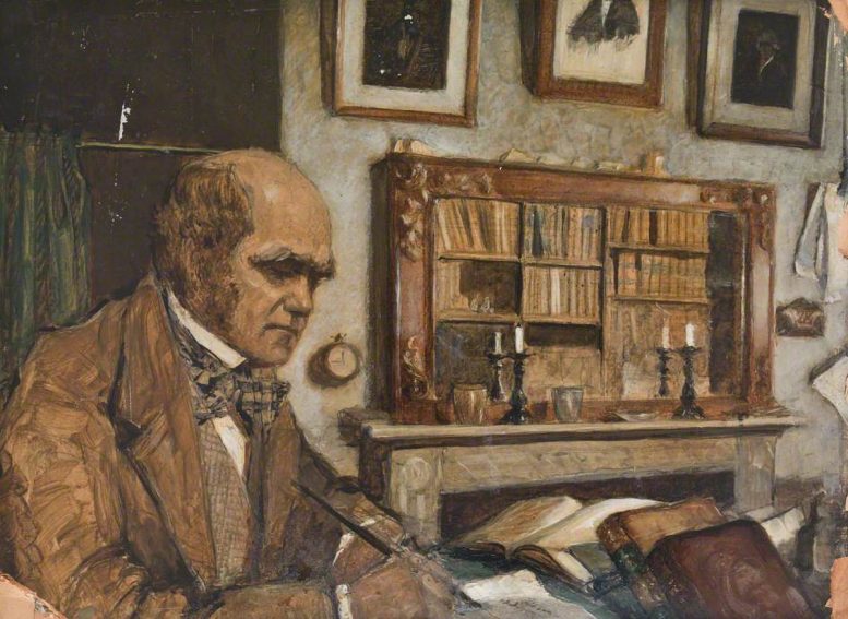 Charles Darwin Oil Painting - Scientists Have Unveiled The Complete Library Of Charles Darwin For The First Time