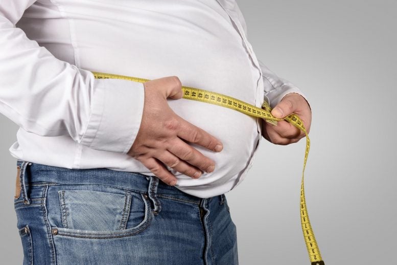 Belly Fat Obesity Weight Loss - Scientists Identify Rare Gene Variants That Can Increase Your Risk Of Obesity By Up To 500%