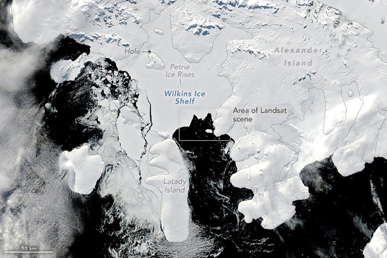 Wilkins Ice Shelf March 2024 Annotated - Wilkins Ice Shelf On The Edge As Scientists Race To Understand