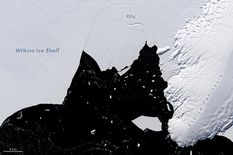 Wilkins Ice Shelf Detail March 2024 Annotated - Wilkins Ice Shelf On The Edge As Scientists Race To Understand
