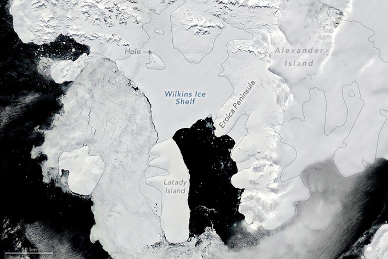 Wilkins Ice Shelf January 2024 Annotated - Wilkins Ice Shelf On The Edge As Scientists Race To Understand