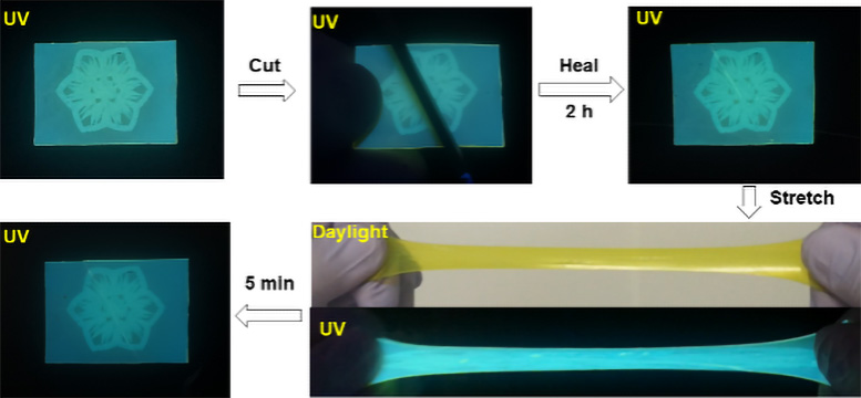 Tough and Fluorescent Self Healing Material - The Future Of Solar Cells And More – Japanese Chemists Develop Glowing, Self-Healing Material
