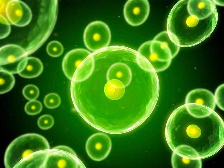 Glowing Green Cells - Paradoxical Mechanisms Uncovered – Chemists Have Filled A Major Gap In The Origin Of Life