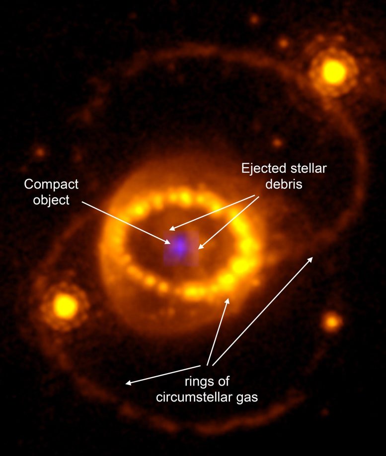 Neutron Star in Iconic Supernova Annotated - Webb Telescope Uncovers Neutron Star Hidden In Supernova Debris