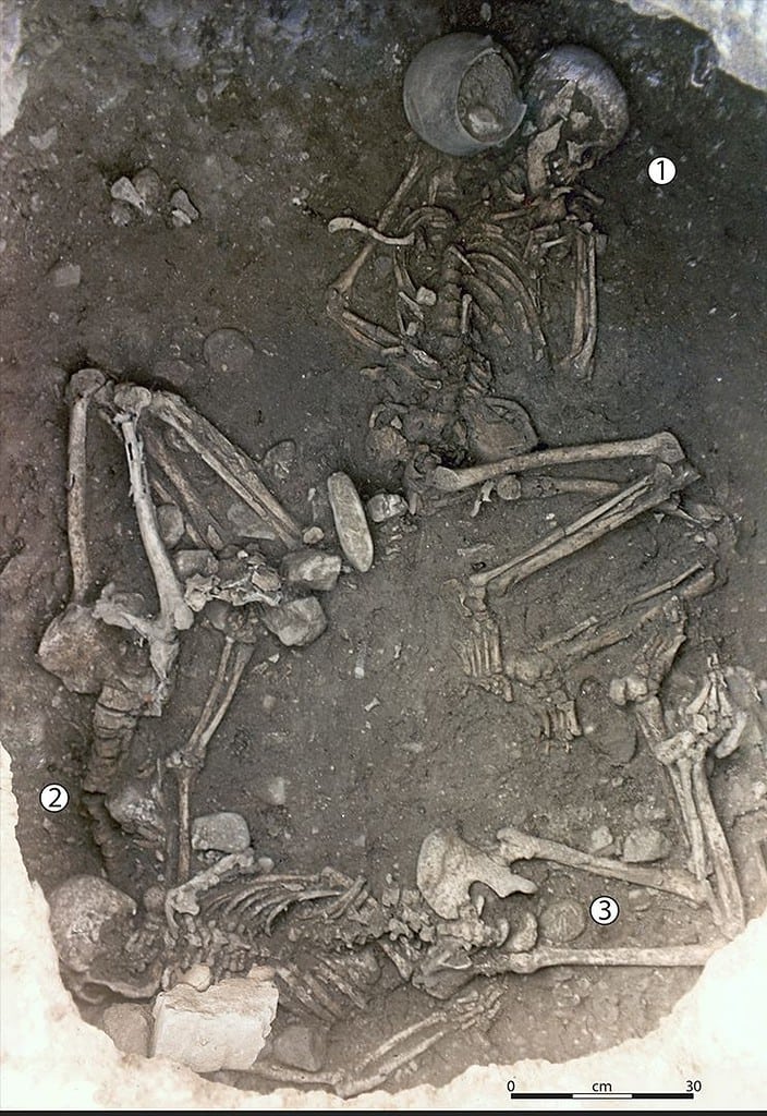 Skeletons in strange burial pit - Many Stone Age People Were Murdered With The Same Method Used By The Italian Mafia — And It Was All Part Of A Ritualistic Sacrifice