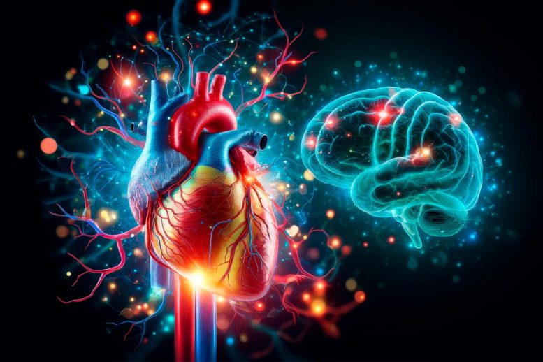 Brain Heart Genetics Concept - Depression And Heart Disease: Surprising Genetic Ties Uncovered