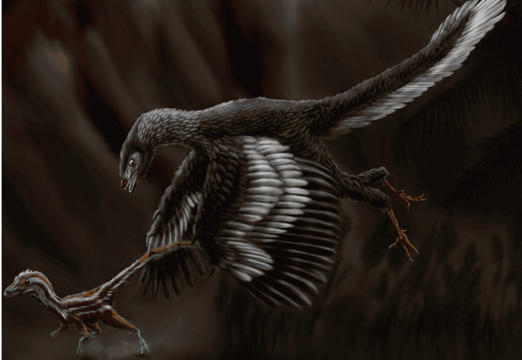 Archaeopteryx: The Winged Link Between Dinosaurs And Birds