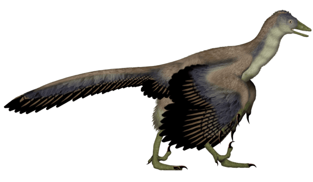 Archaeopteryx: The Winged Link Between Dinosaurs And Birds's depiction of Archaeopteryx