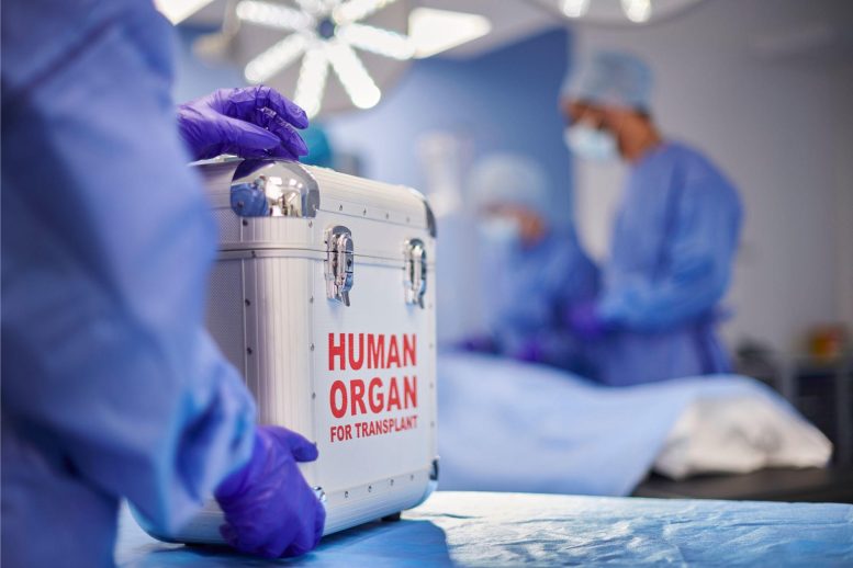 Organ Transplant Hospital - Overcoming The 24-Hour Heart Transplant Time Limit: New Transplant Technique Could Save Lives