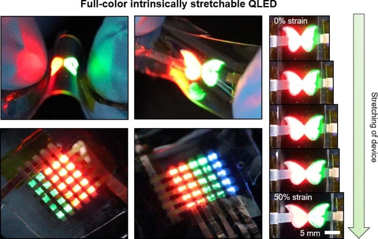 Intrinsically Stretchable Quantum Dot Light-Emitting Diodes Demonstrations - Quantum Stretch: Unveiling The Future Of Elastic Displays