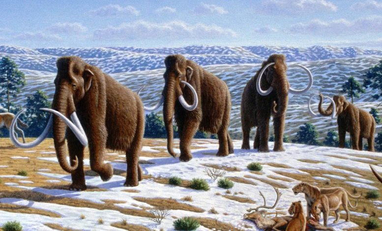 Woolly Mammoths in Northern Spain - Ice Age Discoveries Cool Down Climate Change Alarms