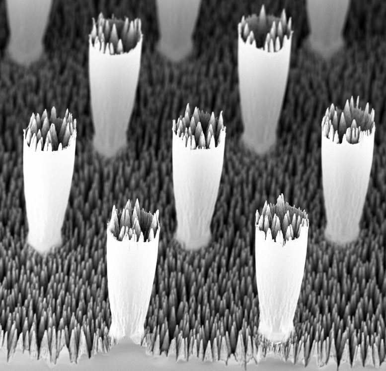 Pillars on Black Silicon Surface - New Physics At Play: Physicists Discover A New Force Acting On Water Droplets Moving Over Superhydrophobic Surfaces