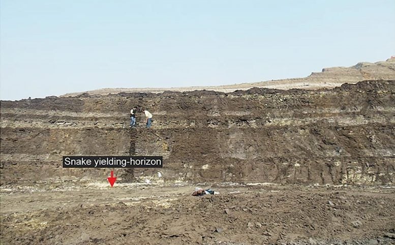 Panoramic View of the Vasuki Indicus Fossil Site - 49 Feet Long – Ancient Giant Snake Discovered In India
