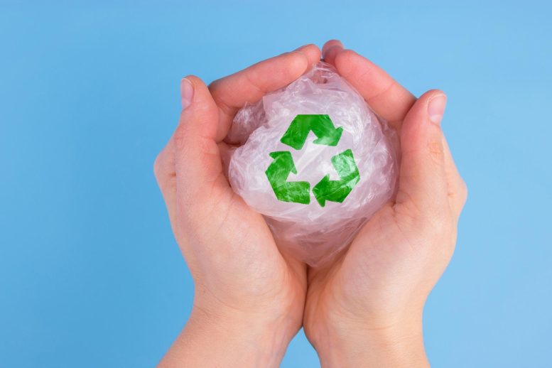 Plastic Recycling Concept Art - Revolutionizing Plastics: Safer, Greener LDPE Alternatives Unveiled