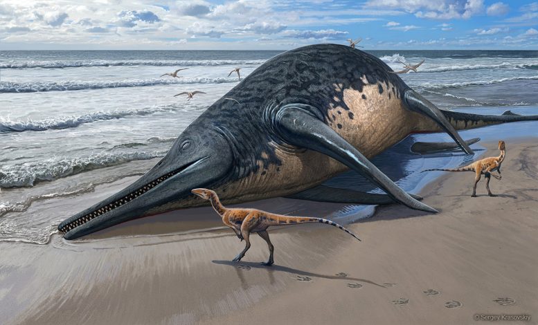 Washed Up Ichthyotitan severnensis Carcass - More Than 80 Feet Long – Newly Discovered Ichthyosaur May Be The Largest Marine Reptile Ever