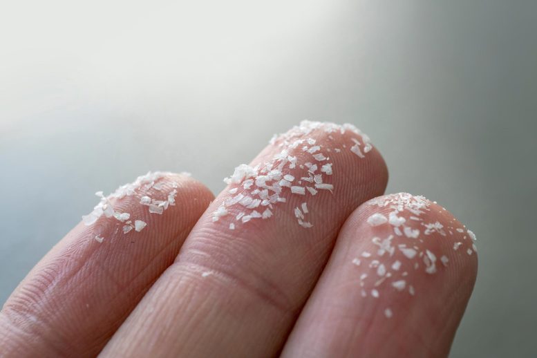 Microplastics Fingers - Breaking The Skin Barrier: Scientists Discover New Health Risks Of Microplastics