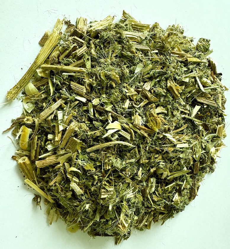 Dried Blessed Thistle - Completely New Use Discovered – This Traditional Herb Has Remarkable Nerve Regenerative Properties
