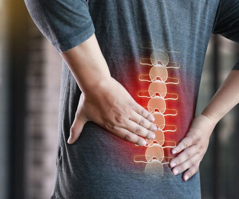 Back Pain Spinal Cord - New Research Links Chronic Pain To Socioeconomic Background