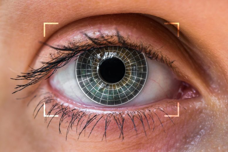 Biometrics Eye Scan - Unlocking Brain Secrets: Scientists Discover Link Between Pupil Size And Working Memory