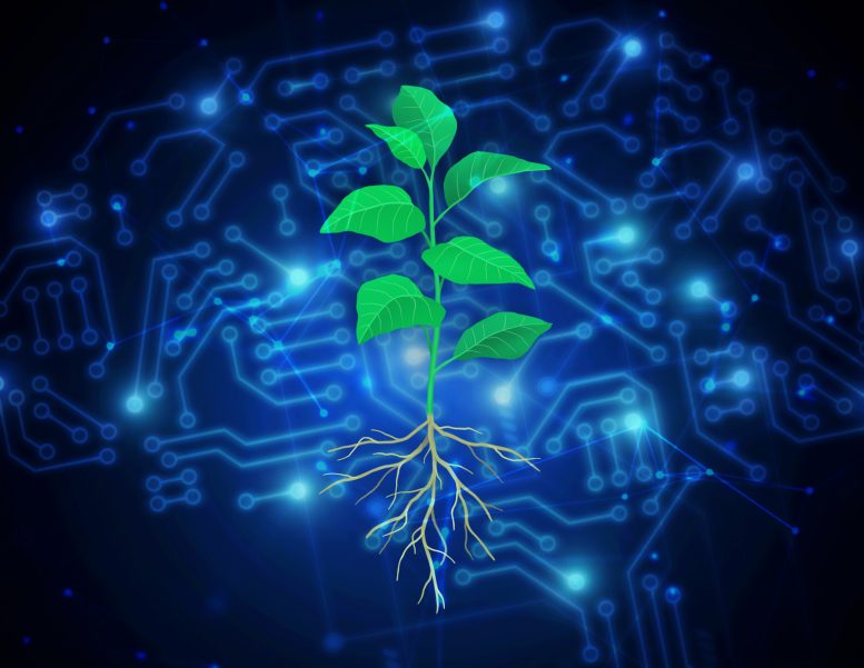 Plant Computer Illustration - Green Revolution 2.0: Scientists Use AI To Create Carbon-Capturing Plants